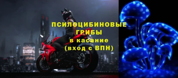 спиды Белокуриха