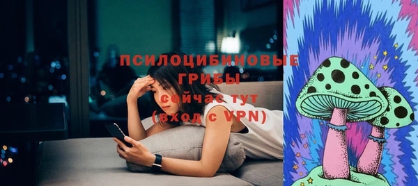 спиды Белокуриха
