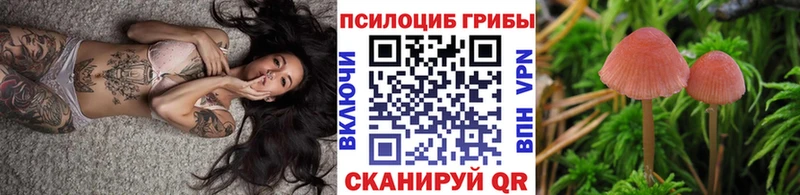 Купить закладки  Тюмень  Псилоцибиновые грибы ЛСД 